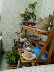 -斐尔国际皮肤管理中心