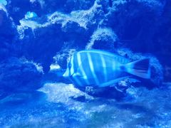 -zoonana室内动物园(东方福来德店)