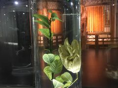 -广东中医药博物馆
