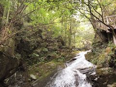 -藏龙百瀑风景区