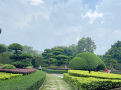-南宁南湖公园