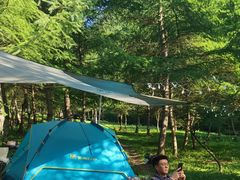 -武陵山森林公园