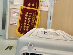 -瑞派·关忠动物医院·猫专科·犬专科(三环新城店)