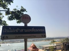 -西双版纳傣族园