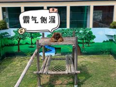 -西霞口神雕山野生动物世界