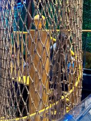 -奇幻丛林(佛罗伦萨小镇店)