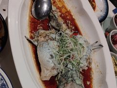 -院8里·少城记忆老川菜(宽窄巷子店)