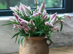 -剪刀石头布家居广场