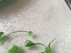 -长春观斋补堂素菜馆