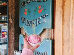 覆盆子冰激凌-Kate's Berry Farm