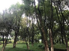 -重庆市江北嘴中央商务区中央公园