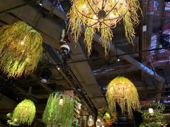 -胡桃里音乐酒馆(下沙店)