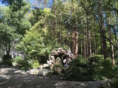 -上海醉白池公园