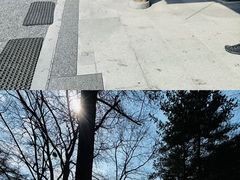 -北海道神宫