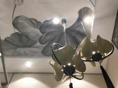 -Lotus 莲花空间(国贸商城店)