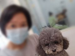 -芭比堂动物医院广州顽皮分院
