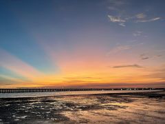 -宝安西湾红树林湿地公园