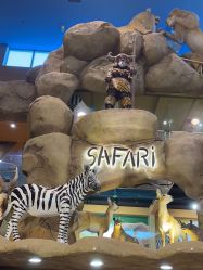 -卡通尼·Safari非洲探索乐园·生日会(金桥国际商业广场店)