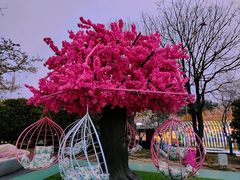 -幕燕滨江·燕子矶公园