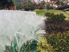 -白云山索道-售票处