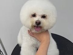 -comecome来吧宠物(奥克斯中心店)