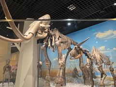 -国家自然博物馆