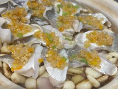 -新吉士·上海菜(浦东LCM置汇旭辉店)