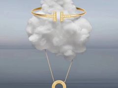 -Tiffany & Co.蒂芙尼
(天津万象城店)