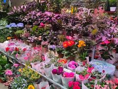 -花鸟鱼虫鲜花绿植市场(玉泉路店)