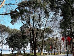 -渤公岛生态公园