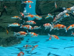 -石家庄市动物园