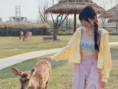 -祥源·阜阳生态乐园