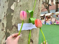 -西安电影制片厂