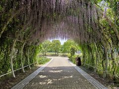 -同里国家湿地公园