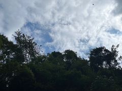 -蝶舞清江·恩施地心谷景区