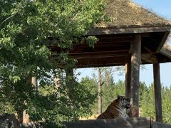 -鄂尔多斯野生动物园