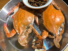 螃蟹-必点海鲜·鲅鱼水饺(鞍山西道店)