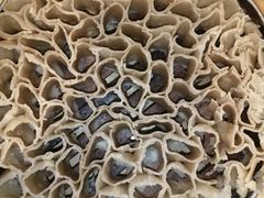 筱面馍馍-乔家满族八大碗(流水沟店)