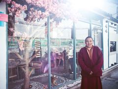 -喵屿·大理花园猫咖