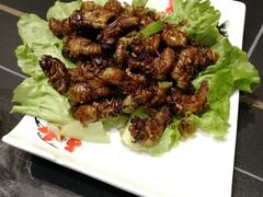 金蝉-古萧汪家羊肉馆(淮北四马路店)