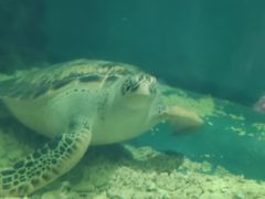 -上海长江河口科技馆
