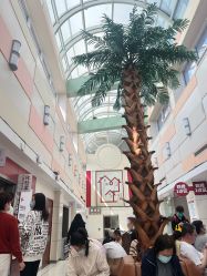 -复旦大学附属妇产科医院(杨浦院区)