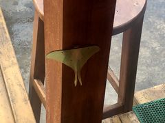 景观位-陀岗美食·云南藏式特色餐厅