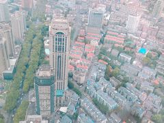 -紫峰大厦