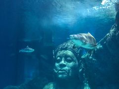 -暹罗海洋世界