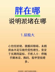 -Fundi张玉珊修身堂·indiba·BTL科技瘦身