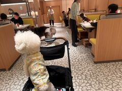 -海底捞火锅(凤凰广场店)