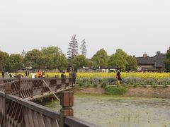 -乌镇东栅景区