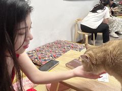 -柴迷FANS CLUB·柴犬狗咖·猫咖