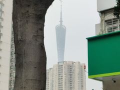 -广州塔
